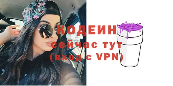прущий лед Алзамай