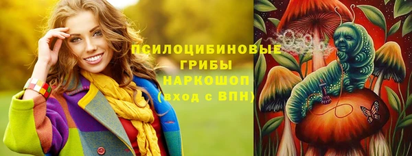 прущий лед Алзамай