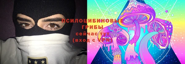 прущий лед Алзамай