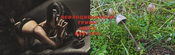 прущий лед Алзамай
