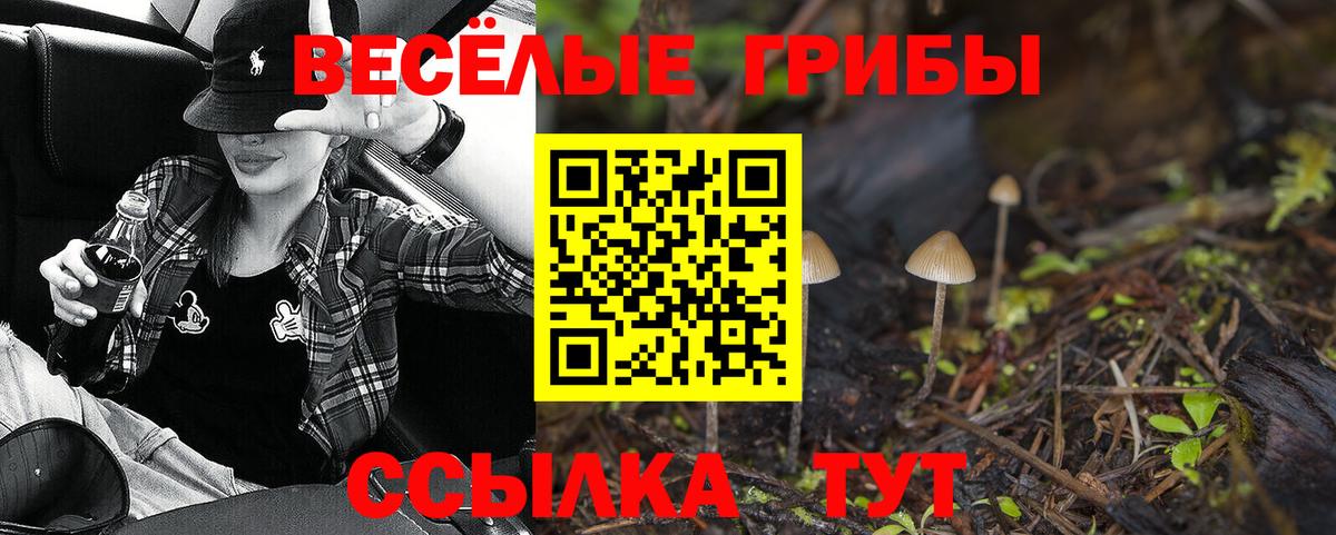 купить наркоту  Вход с VPN  Старый Оскол  Псилоцибиновые грибы прущие грибы  Галлюциногенные грибы GOLDEN TEACHER 